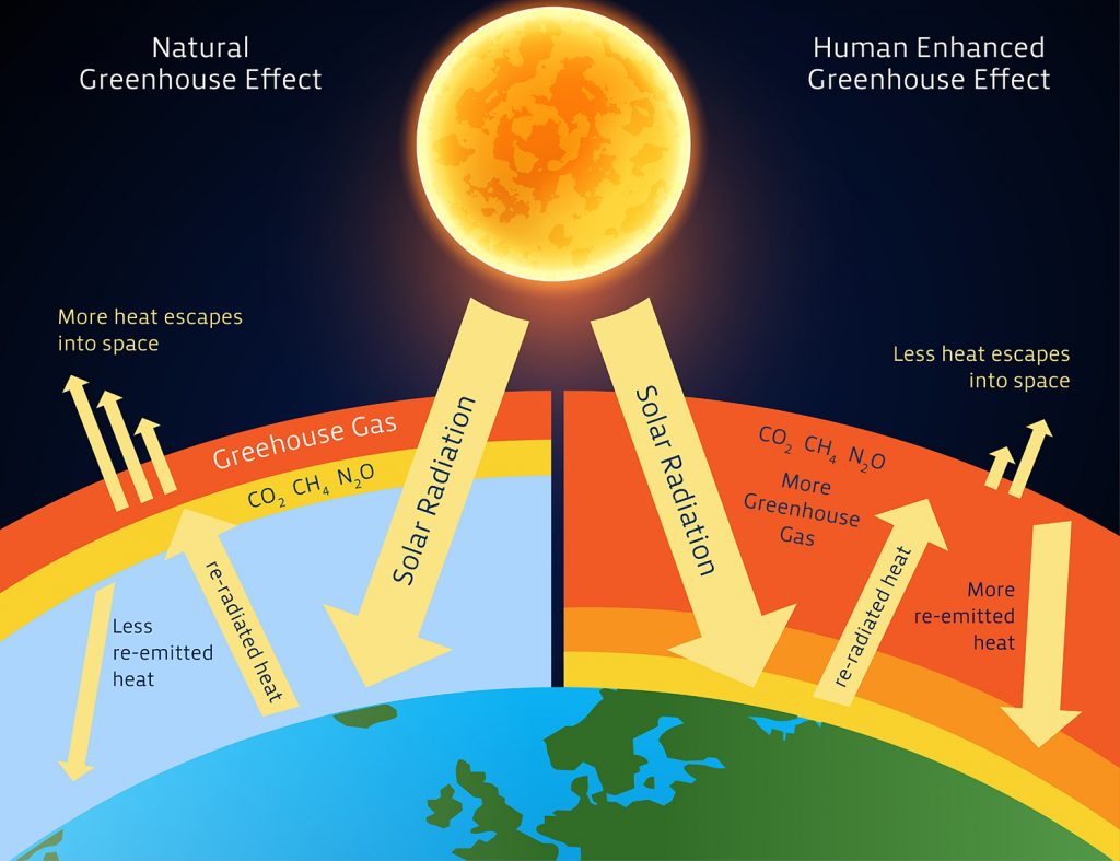 TecnoVeritas Emiss Es De CO2 Um Problema Real Para A Sociedade   Figure 1 Schematics Of The Greenhouse Gas Effect 1024x787 